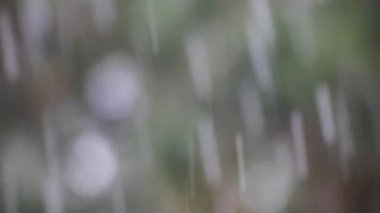 bokeh kar fırtınası kış hava arka plan