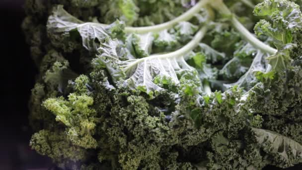 Kale fresh superfood — Stock Video
