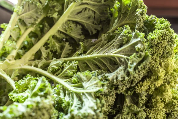 Macro de bouquet de Kale — Photo