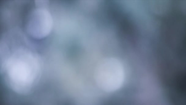 bokeh flocons de neige fond 