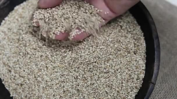 Χειρολαβές σε μπολ δημητριακά σπόρων σουσαμιού — Αρχείο Βίντεο