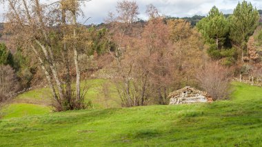 Eski tırmanış kabin alanı ağaçlar ve çalılar ile