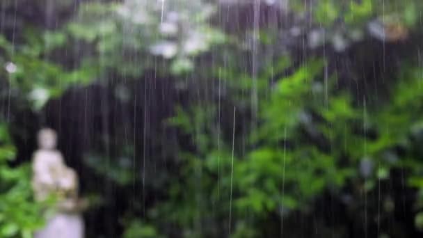 Starkregen auf Garten Hintergrund Natur regnerisches Wetter — Stockvideo