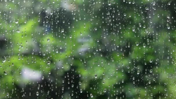 Regen op de achtergrond van het venster en tuin — Stockvideo