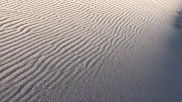 Sand Dune Blown Wind — Stockvideo