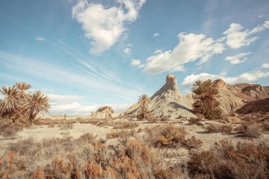 Tabernas Çölü 'nün tepeleri Almerya İspanya Doğa Macerası Europa