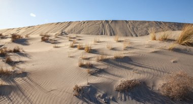 Cabo de Gata 'daki Monsul Körfezi' nde kum tepesi. Doğal Park Endülüs İspanya Avrupa 'yı geziyor.