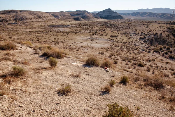 wild vegetation and eaten dead animal in the landscape of the Tabernas desert in Spain