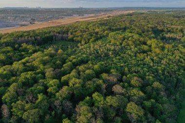 Hambacher Ormanı 'nın havadan görünüşü ve arka planda yakınlardaki açık çukur Hambach.