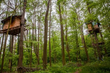 inhabited tree houses of the nature Conservation activists in the Hambach Forest