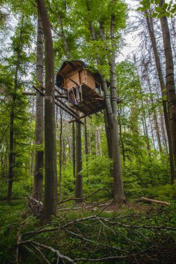inhabited tree houses of the nature Conservation activists in the Hambach Forest