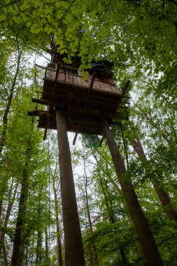 inhabited tree houses of the nature Conservation activists in the Hambach Forest