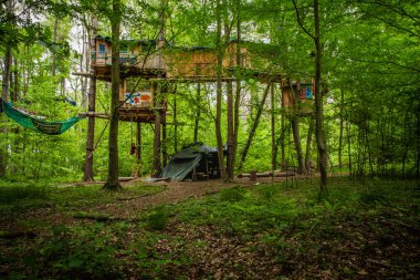 details view of nature Conservation activists  protest camp in the Hambach forest