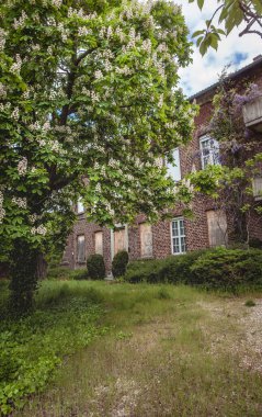 Detail view of the abandoned resettled village of Morschenich - old for the Hambach opencast mine