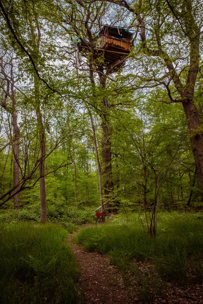 inhabited tree houses of the nature Conservation activists in the Hambach Forest