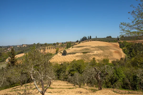 Toscana Landschaft — Foto Stock