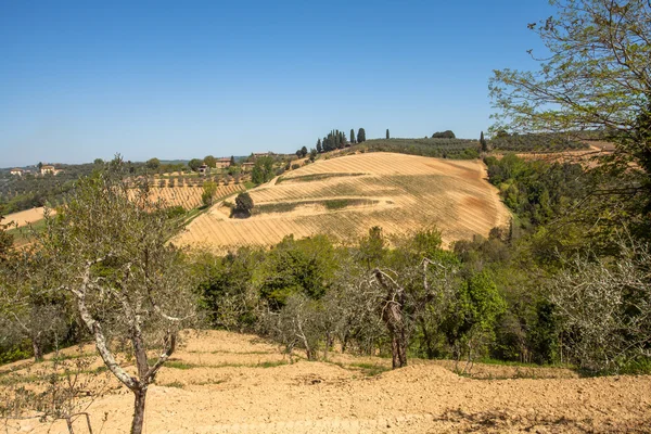 Toskana Landschaft — Foto Stock