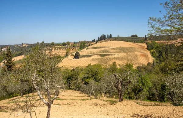 Toskana Landschaft — Foto Stock