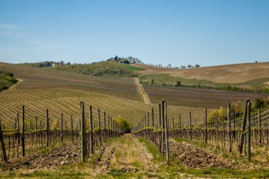 Tuscany Chianti kırsal