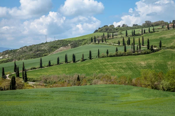 Paesaggio tipico toscano Italia — Foto Stock