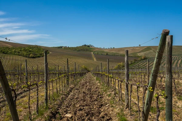 Chianti Toskania, Wlochy wsi — Zdjęcie stockowe