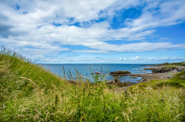 Kustlijn op grond van Dunure Castle — Stockfoto