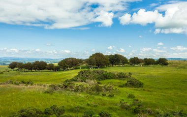Pitoresk ağaç manzara İskoçya