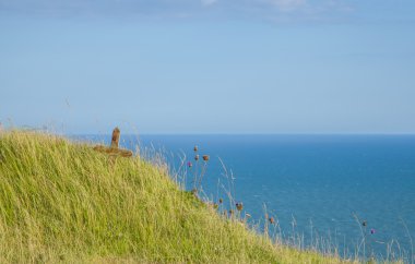 Okyanus manzarası doğa yeşil mavi