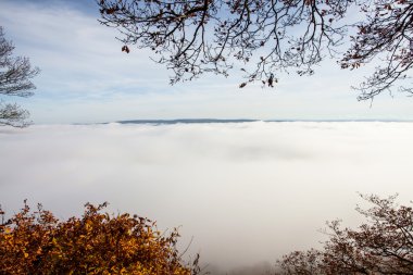 Moselle Vadisi'nde sisli sonbahar manzara