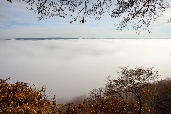 Moselle Vadisi'nde sisli sonbahar manzara — Stok fotoğraf