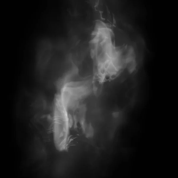 공포의 안개가 배경에 실루엣 과밝은 모양의 괴로운 할로윈 현수막 — 스톡 사진