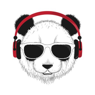 Gözlüklü ve kulaklıklı panda. Vektör illüstrasyonu.