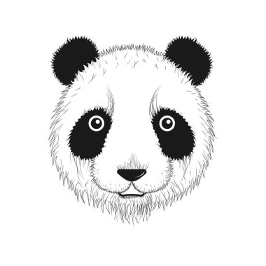 Bir pandanın portresi. Siyah beyaz vektör illüstrasyonu.