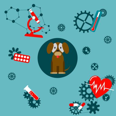 Hayvanların tedavisi. Köpeklere ilk yardım. Evcil hayvanların sağlığına yönelik bakım mekanizması.