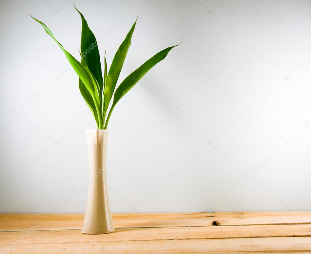 Lucky bamboo (Dracaena sanderiana) in a crean vase on wood backgrond. copy space for text