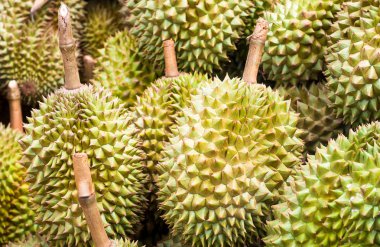 Bahçe içinde Tayland çarşı, friut kralı durain yığını