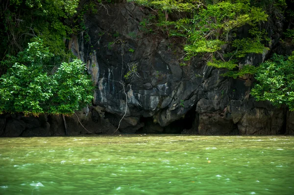 La crescita verde dell'albero nella scogliera rocciosa con acqua marina — Foto Stock