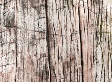 Eski Ağaç Yapısı Arkaplan Şablonu