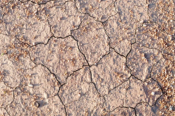 Superficie di una terra secca di incrinatura secca grungy per dorso textural — Foto Stock