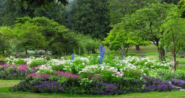 Yazın Stanley Park Daimi Bahçesinde Çok Parlak Çiçekler Açar