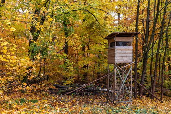 Avlanmak için bir ormanda kör olarak büyümüş.. 
