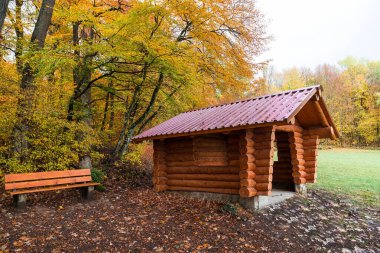 Ormanın kenarındaki ağaç gövdelerinden yapılmış ahşap kulübe..