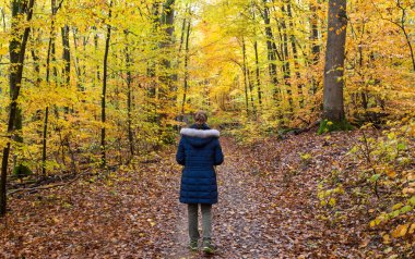 Renkli bir sonbahar ormanında yalnız yürüyen genç kadınlar..