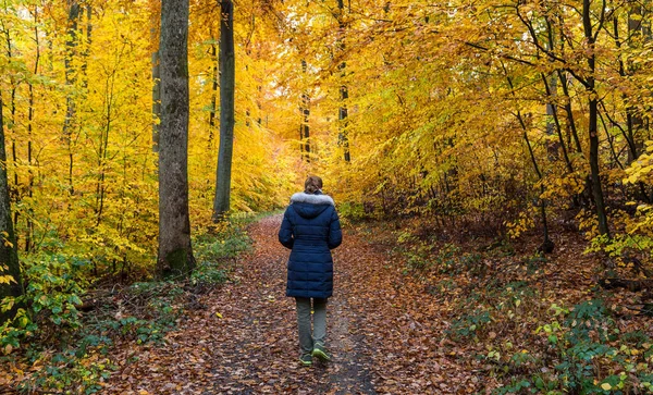 Renkli bir sonbahar ormanında yalnız yürüyen genç kadınlar..