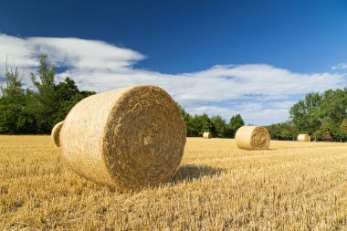 Samandan balyalar ve mavi bir tarlanın güzel panoramik manzarası 