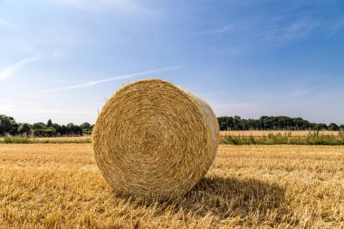 Samandan balyalar ve mavi bir tarlanın güzel panoramik manzarası 