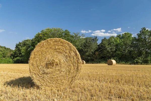 Samandan balyalar ve mavi bir tarlanın güzel panoramik manzarası 