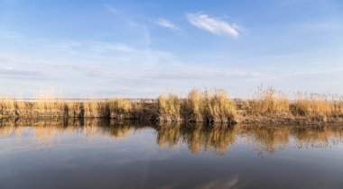 Kıyısında kamış ve suda yansıması olan güzel bir nehir..