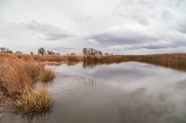 Sonbaharda Kazakistan 'ın bozkırında göl.