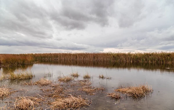 Sonbaharda Kazakistan 'ın bozkırında göl.